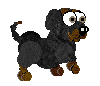Black Puppy Walks
